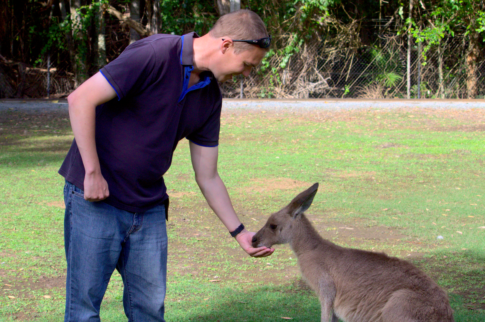 Me with a kangaroo